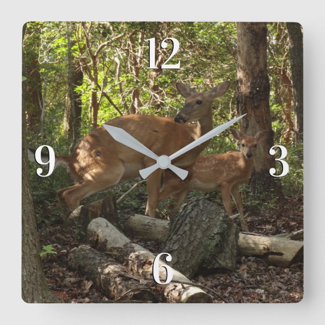 Mutter und Baby Deer im Shenandoah-Nationalpark Quadratische Wanduhr (Vorderseite)
