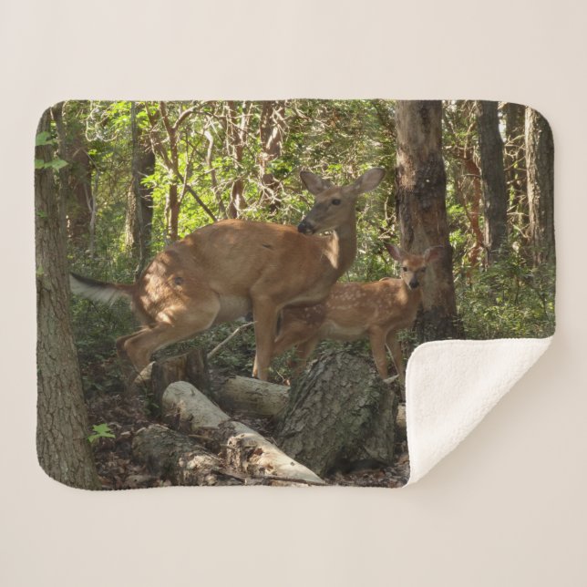 Mutter und Baby Deer im Shenandoah-Nationalpark Sherpadecke (Vorderseite (Horizontal))