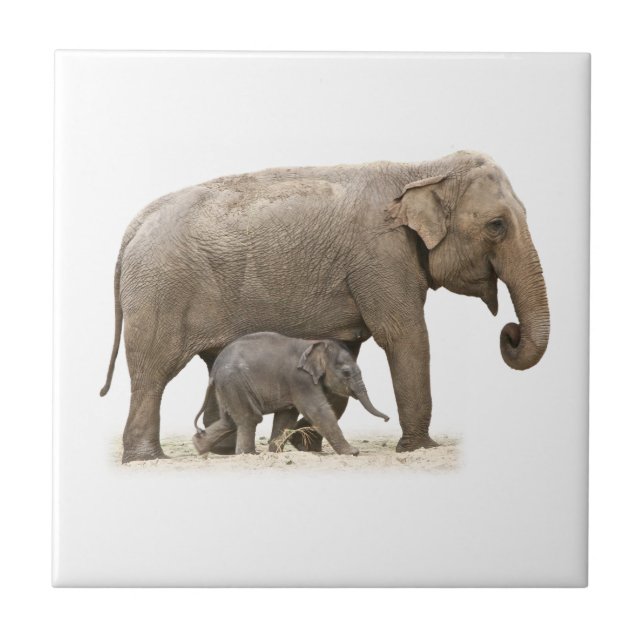 Mutter und Baby Elephant Fliese (Vorderseite)