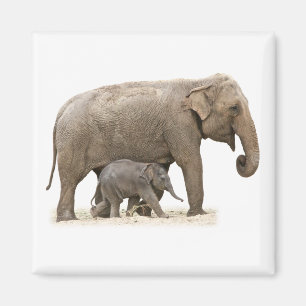Mutter und Baby Elephant Magnet