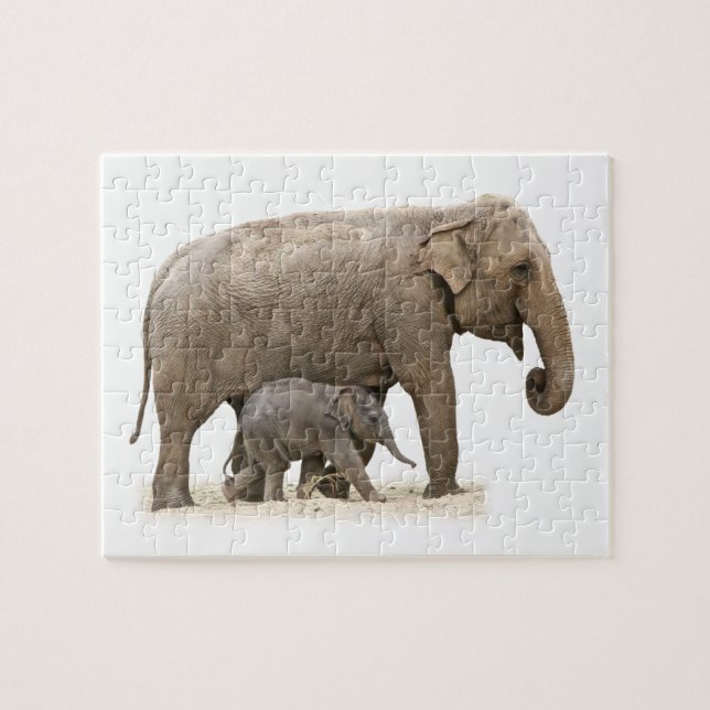 Mutter und Baby Elephant Puzzle (Horizontal)
