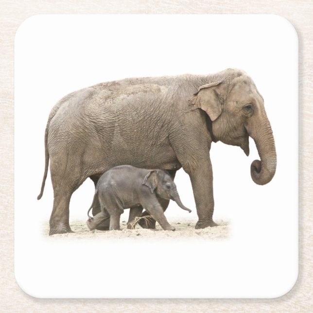 Mutter und Baby Elephant Rechteckiger Pappuntersetzer (Vorderseite)