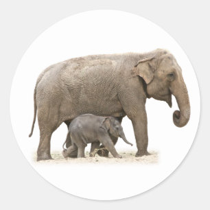 Mutter und Baby Elephant Runder Aufkleber