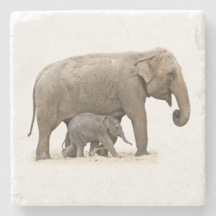 Mutter und Baby Elephant Steinuntersetzer