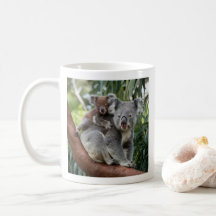 Mutter und Baby Koala Bear