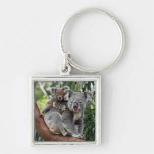 Mutter und Baby Koala Bear Schlüsselanhänger