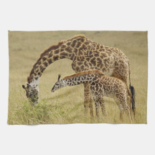 Mutter und Baby Masai Giraffe, Giraffa Geschirrtuch