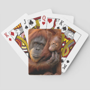 Mutter und Baby Orangutan Spielkarten