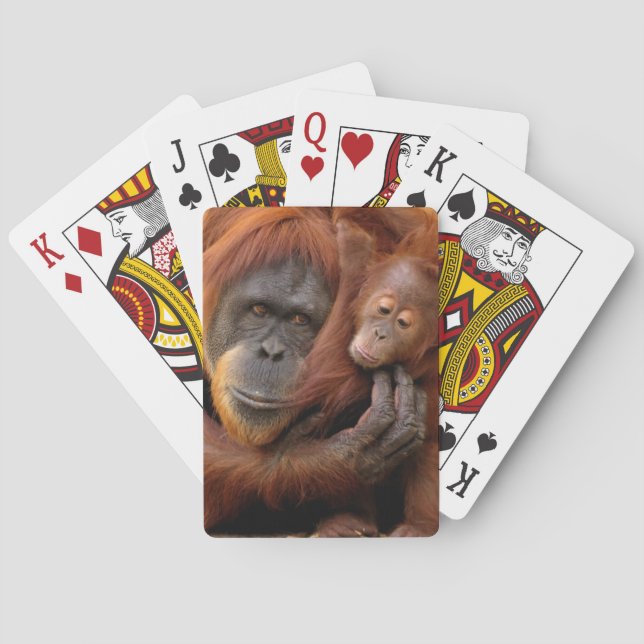 Mutter und Baby Orangutan Spielkarten (Rückseite)