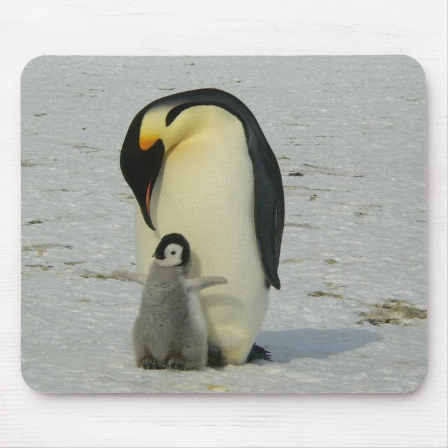Mutter und Baby Penguin Mousepad (Vorne)