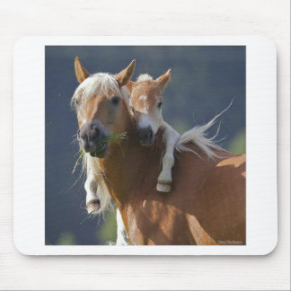 Mutter-und Baby-Pferd Mousepad