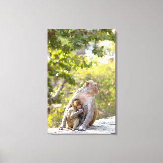 Mutter und Baby Rhesus Macaque Affen an Wand Leinwanddruck