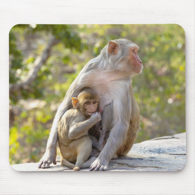 Mutter und Baby Rhesus Macaque Affen an Wand Mousepad (Vorne)