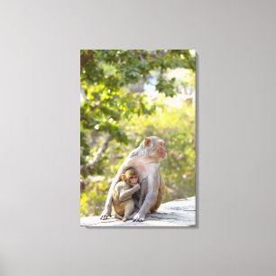 Mutter-und Baby RhesusfaktorMacaqueaffen auf Wand Leinwanddruck