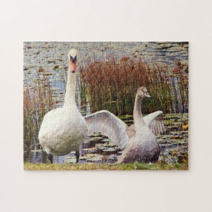 Mutter und Baby Swan Niedlich Jigsaw Puzzle Wildli