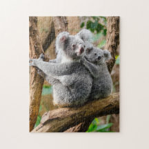 Mutter und Baby Tier Koala BearFotografie Tier