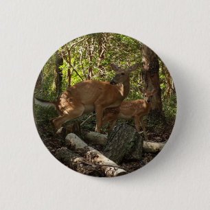 Mutter und Babyreh im Shenandoah-Nationalpark Button
