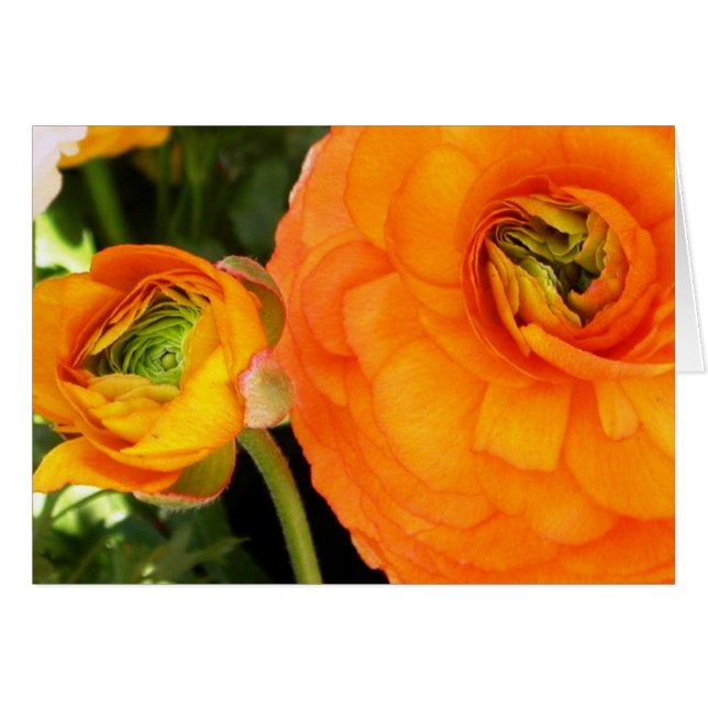 Mutter und Kind (Vorderseite (Horizontal))