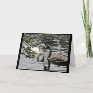 Mutter und Kind — Eine Swan-Grußkarte Karte