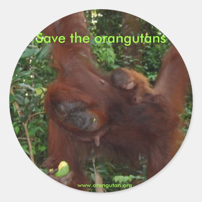 Mutter und Kind in Orangutan in natürlichem Lebens Runder Aufkleber (Vorderseite)