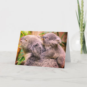 Mutter und Kind Koala Bär geklappte Grußkarte Karte