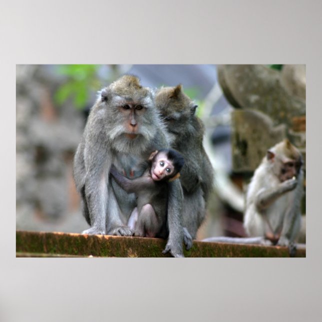 Mutter und Kind Poster (Vorne)