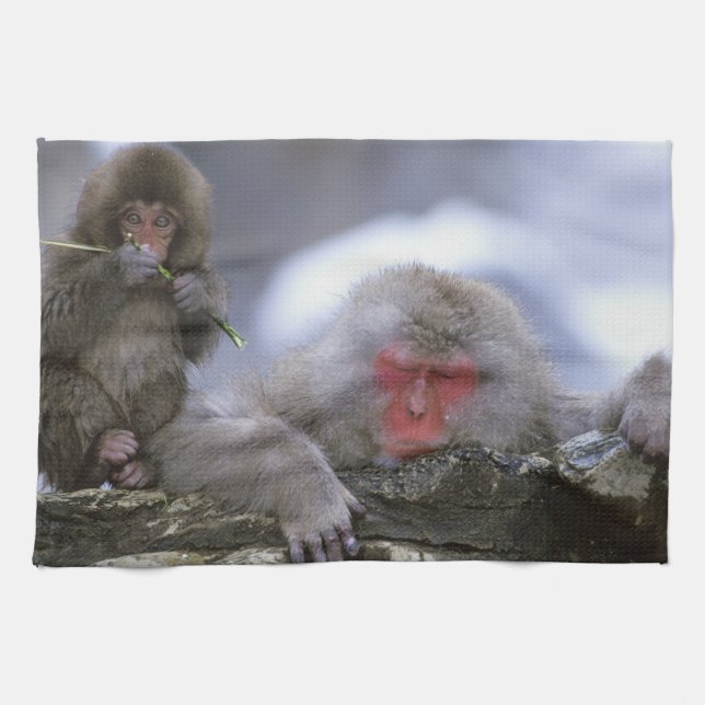 Mutter und Kind von Snow Monkey, Jigokudani, Nagan Handtuch (Horizontal)