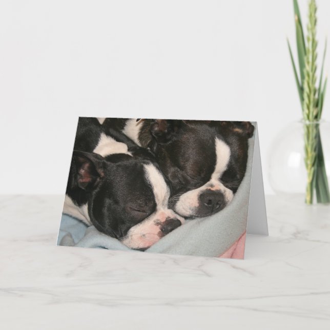 Mutter und Kind Welpen Note Card Boston Terrier Karte (Vorderseite)