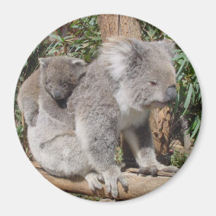 Mutter-und Kindermagnet Magnet