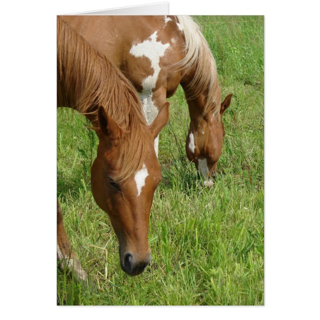 Mutter und Sohn, Pferdeweiden (Vorne)