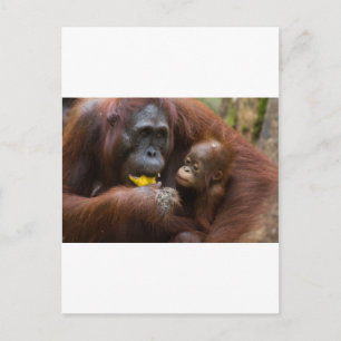 Mutter und Sohn Postkarte