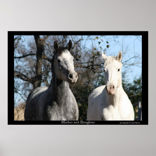 Mutter und Tochter Poster (Vorne)