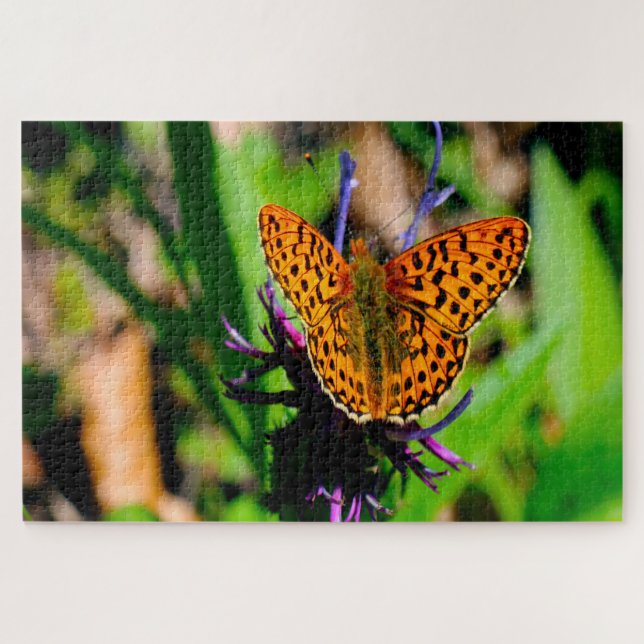 Mutter von Pearl Butterfly. Puzzle (Horizontal)