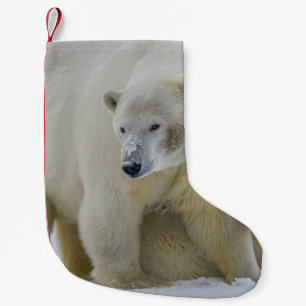 MUTTER VON POLENBÄDERN UND KUB NORDALASKA KLEINER WEIHNACHTSSTRUMPF