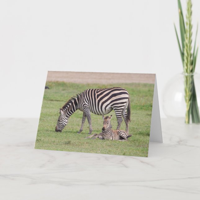 Mutter Zebra mit neugeborenem Colt Karte (Vorderseite)