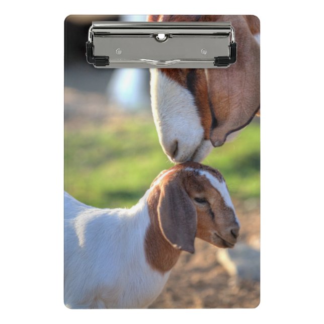 Mutter-Ziege u. Baby Mini Klemmbrett (Vorderseite)