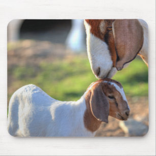 Mutter-Ziege u. Baby Mousepad