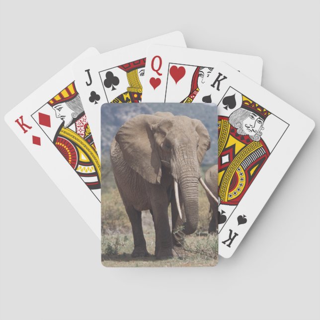 MutterElefant, der mit Elefantenkalb spaziert Spielkarten (Rückseite)