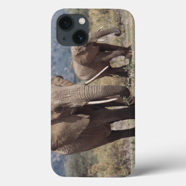 Mutterelefant, der mit Elefantkalb geht Case-Mate iPhone Hülle (Rückseite)