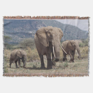 Mutterelefant geht mit Elefantenkalb Decke