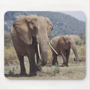 Mutterelefant geht mit Elefantenkalb Mousepad