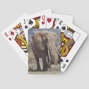 Mutterelefant geht mit Elefantenkalb Spielkarten