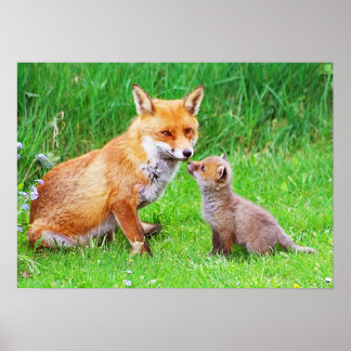 Mutterfuchs und -kuchen poster