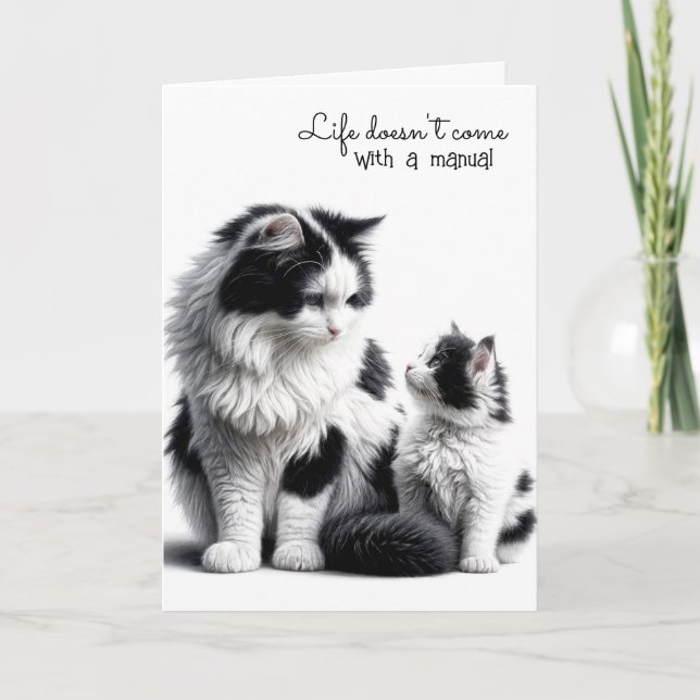 Mutterkatze und Kitten zum Geburtstag Karte (Vorderseite)