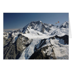 Mutterkoch, Neuseeland