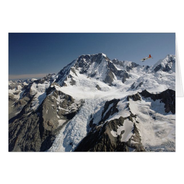 Mutterkoch, Neuseeland (Vorderseite (Horizontal))