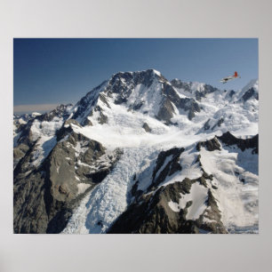 Mutterkoch, Neuseeland Poster