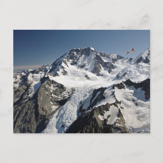 Mutterkoch, Neuseeland Postkarte (Vorderseite)