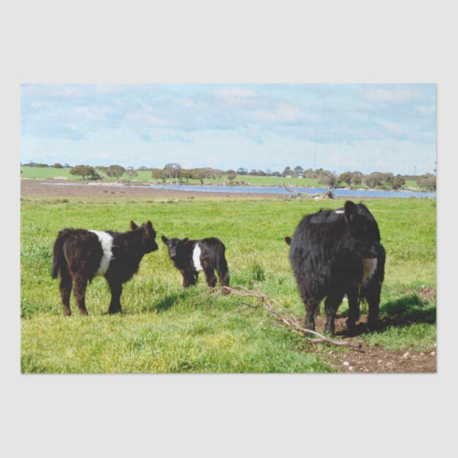 Mutterkuh und Schwulenkuh, Gewebe Seidenpapier (Vorderseite)