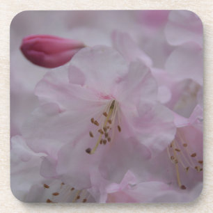 Mutterkummer Untersetzer